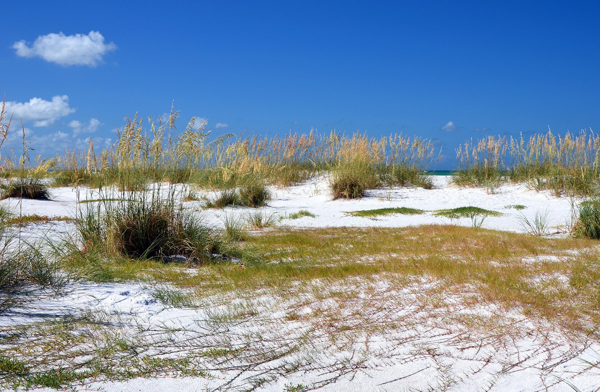 Bradenton — Anna Maria Island, Holmes Beach, Palma Sola, Parrish