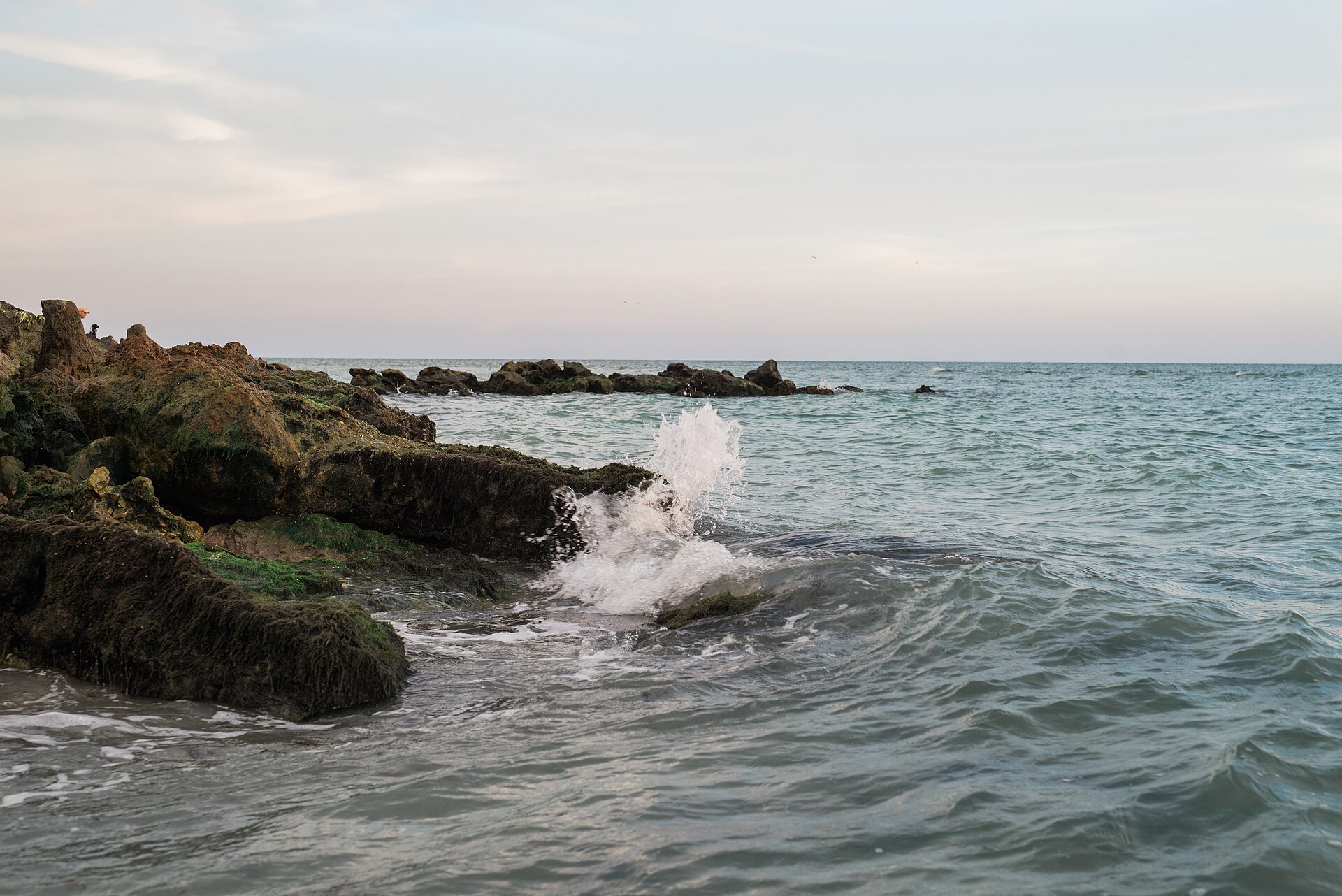 Nokomis & Venice Beaches